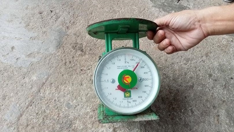 Kiểm tra ốc vít và độ phẳng của đĩa cân đồng hồ lò xo để khắc phục sai số.