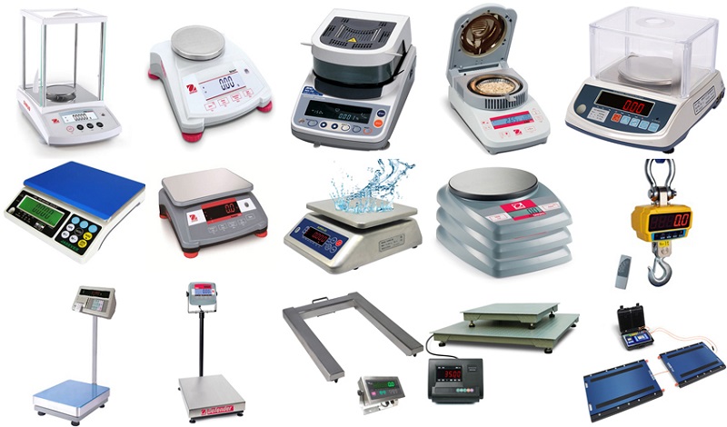 Các loại cân điện tử trong ngành chế biến thực phẩm và nhà hàng